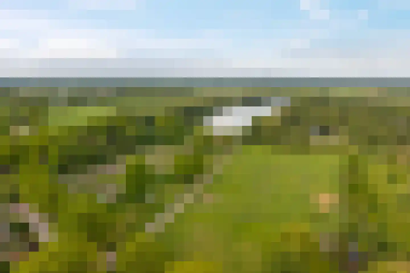Fuutweg 12 Haren Gn thumbnail 42