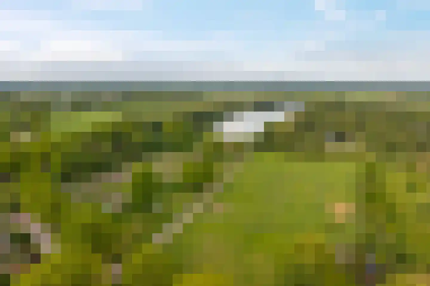 Fuutweg 12 Haren Gn thumbnail 7