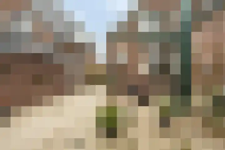 Fuutweg 20 Apeldoorn thumbnail 15