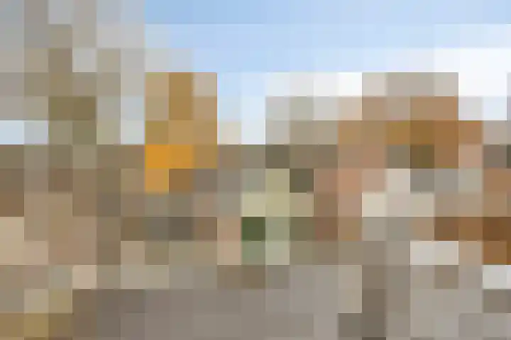 Fuutweg 20 Apeldoorn thumbnail 23