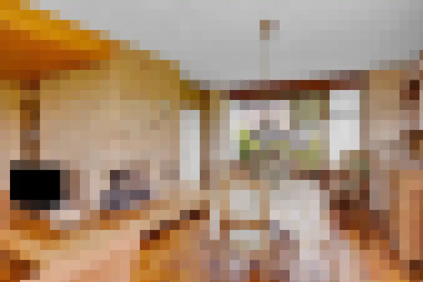 Fyns 10 Wommels thumbnail 11