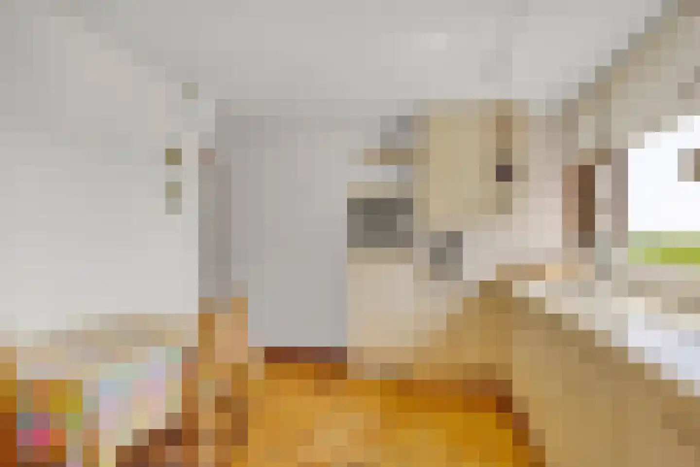 Fyns 10 Wommels thumbnail 17
