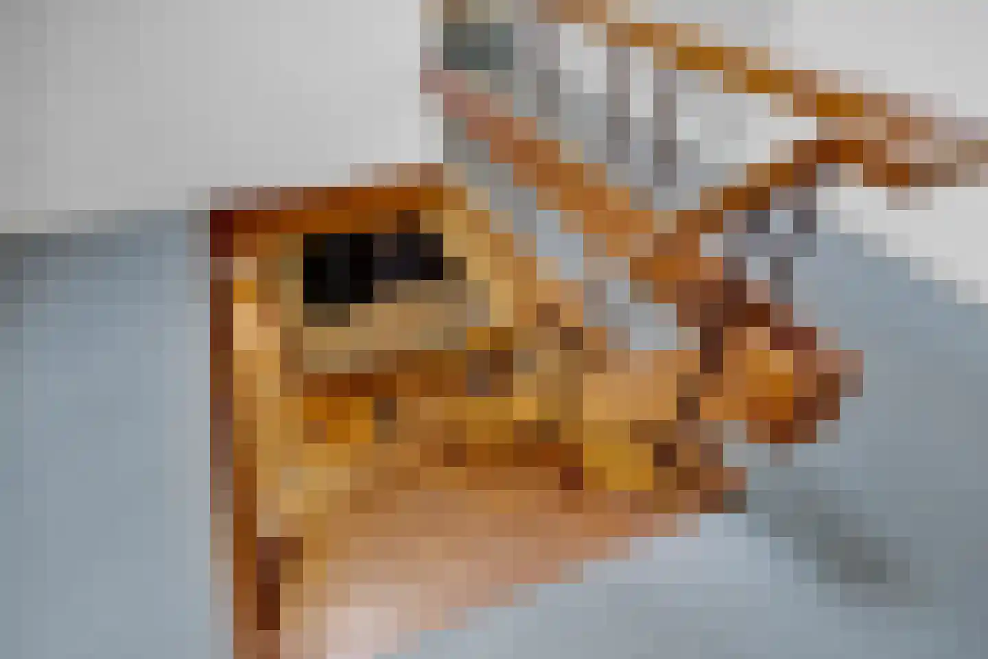 Fyns 10 Wommels thumbnail 37