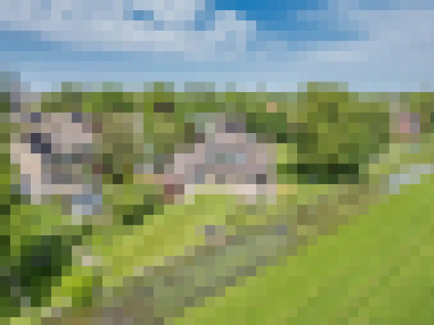 Fyns 10 Wommels thumbnail 4