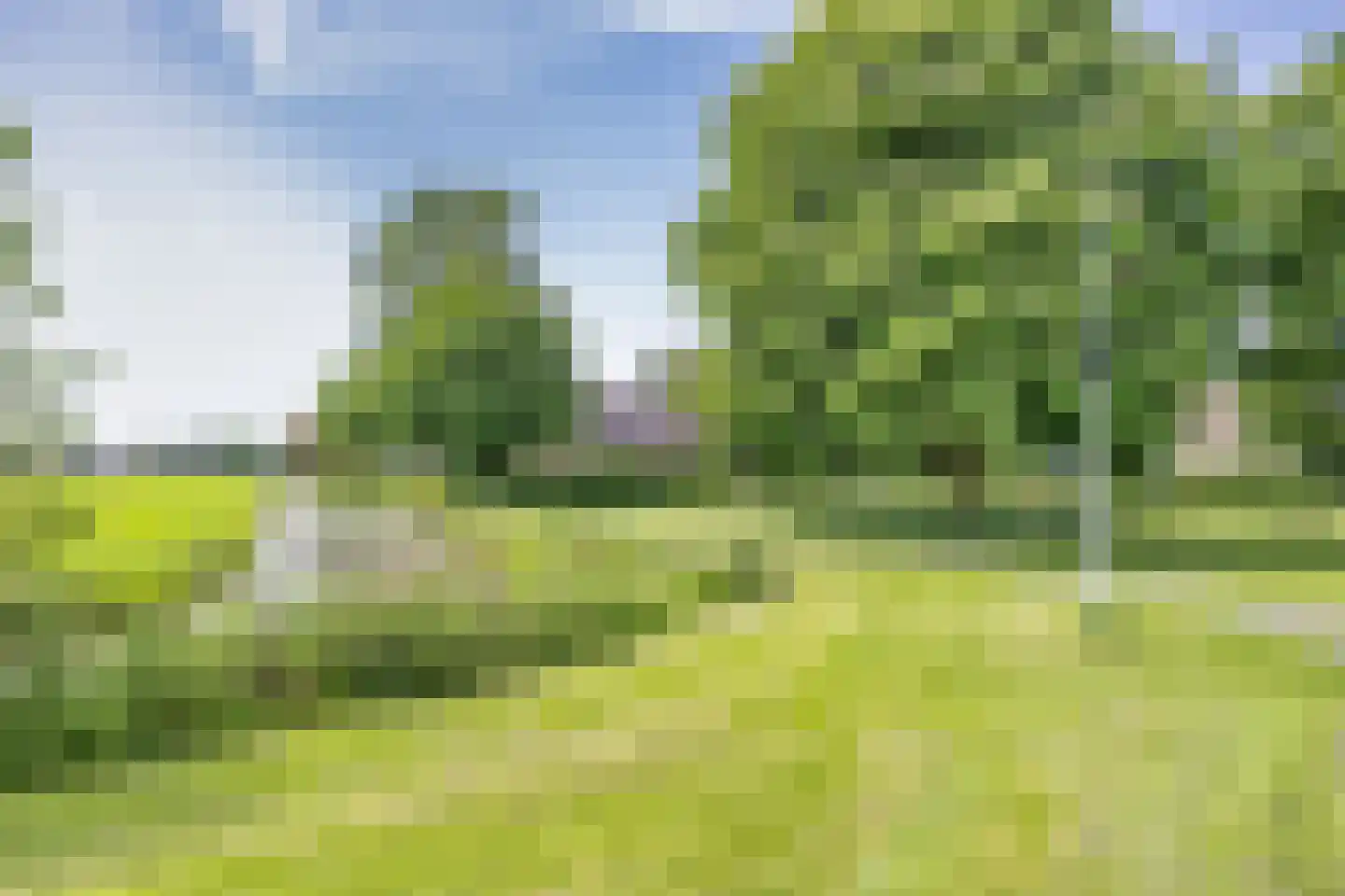 Fyns 10 Wommels thumbnail 41