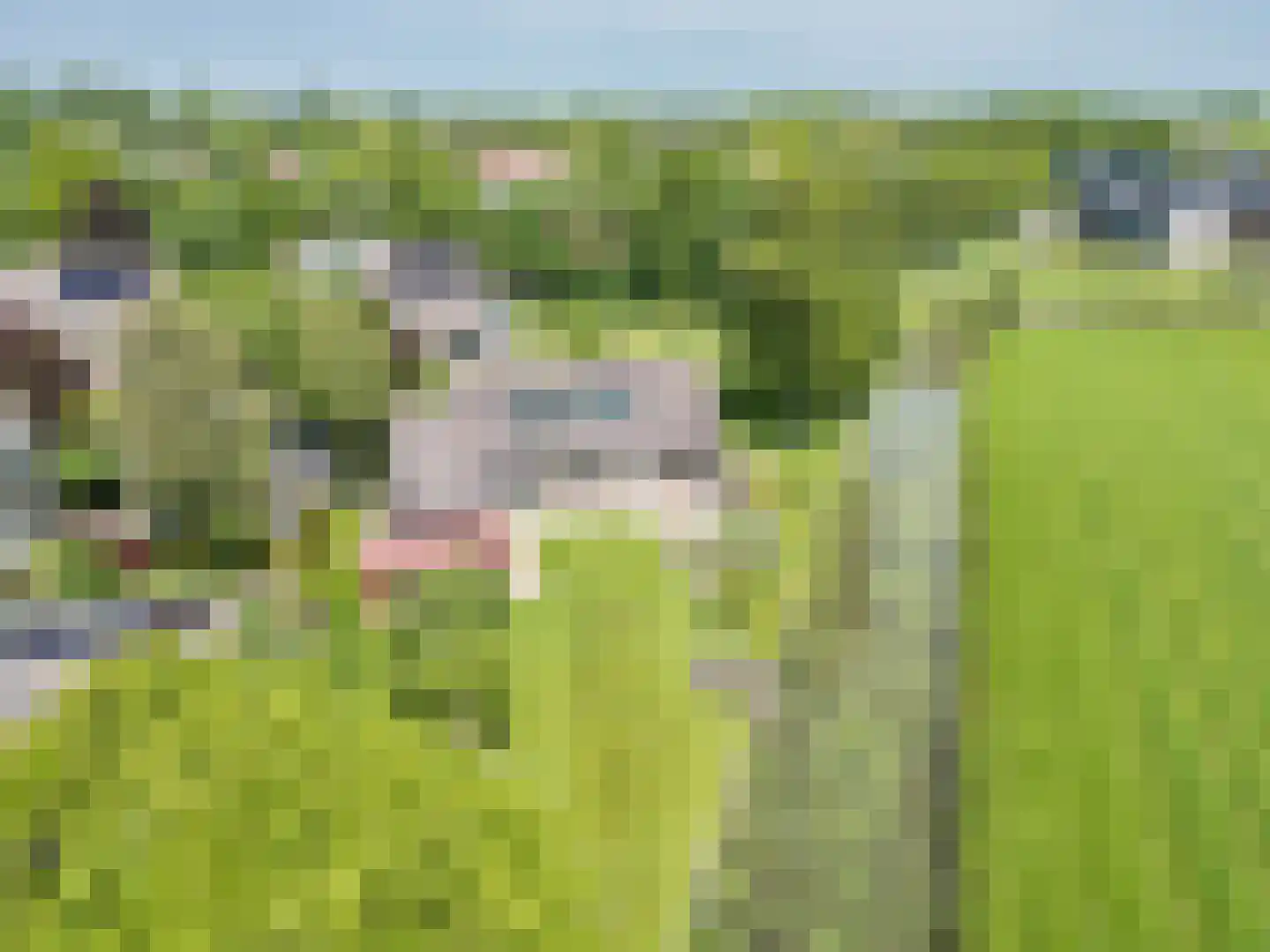Fyns 10 Wommels thumbnail 51