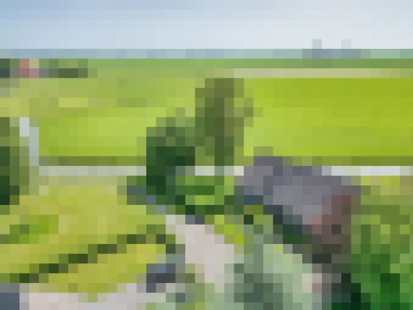 Fyns 10 Wommels thumbnail 53