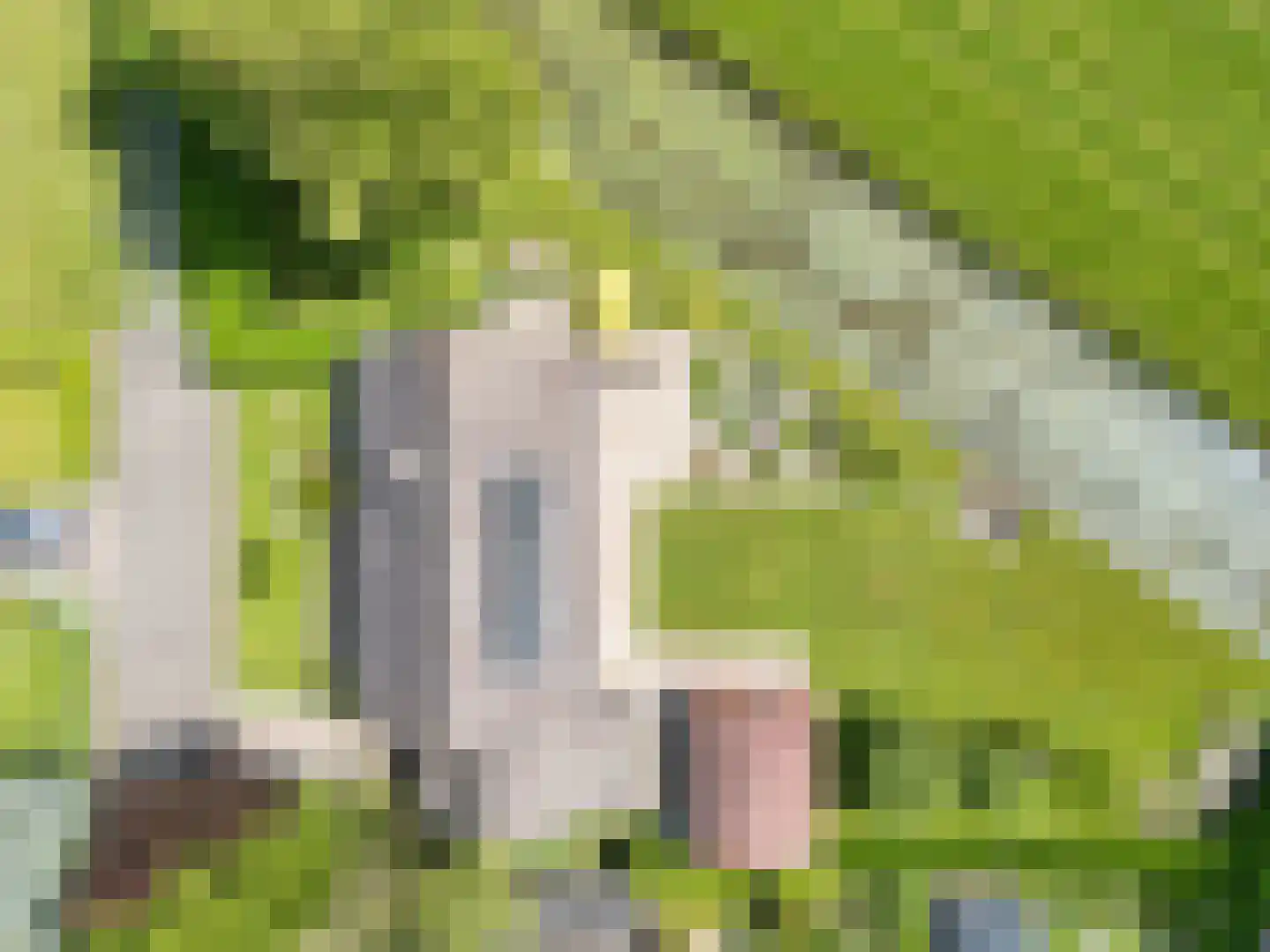 Fyns 10 Wommels thumbnail 57