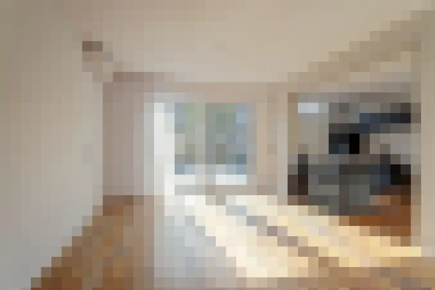 G.A.Brederodestraat 15 Harlingen thumbnail 10