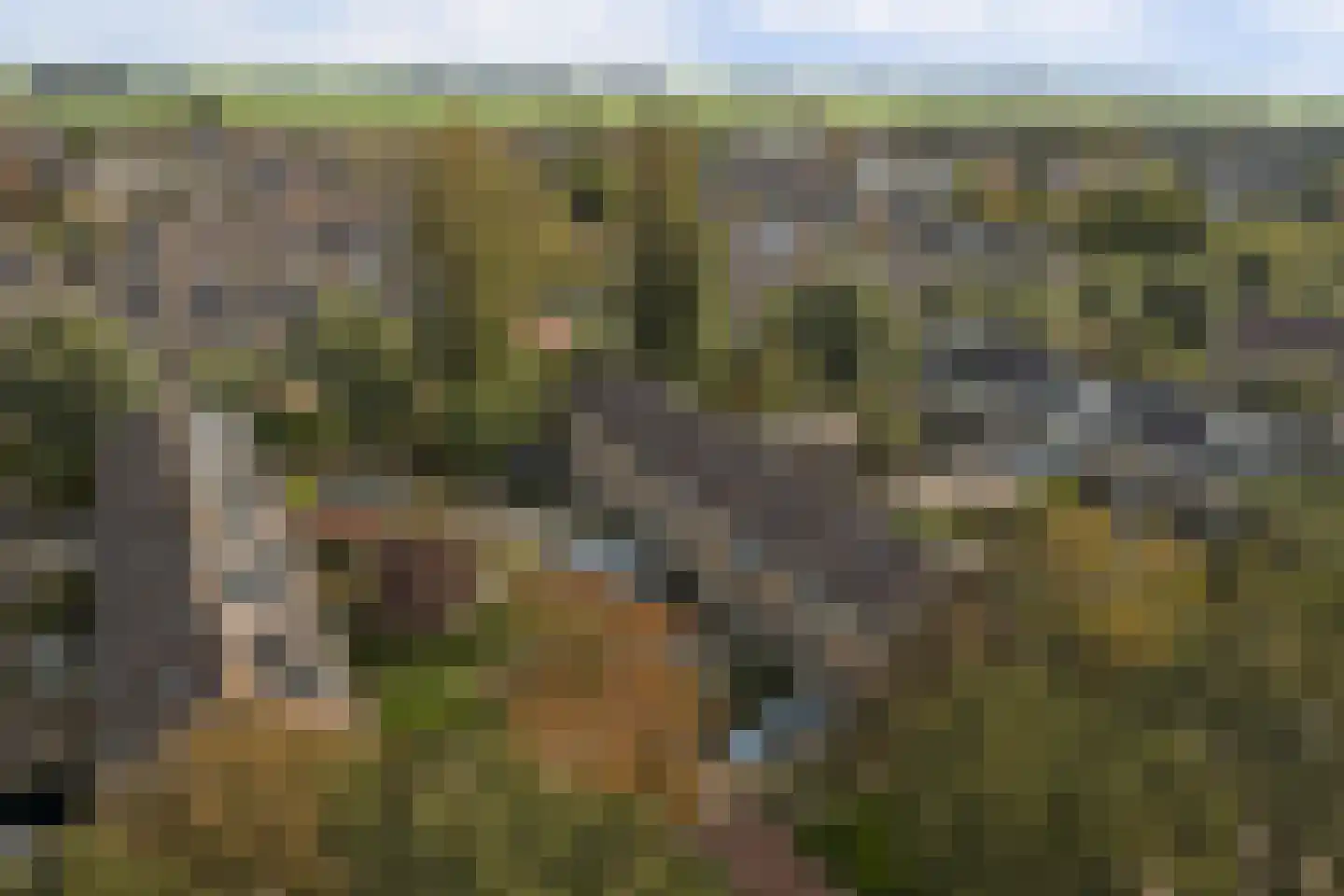 G.A.Brederodestraat 15 Harlingen thumbnail 38