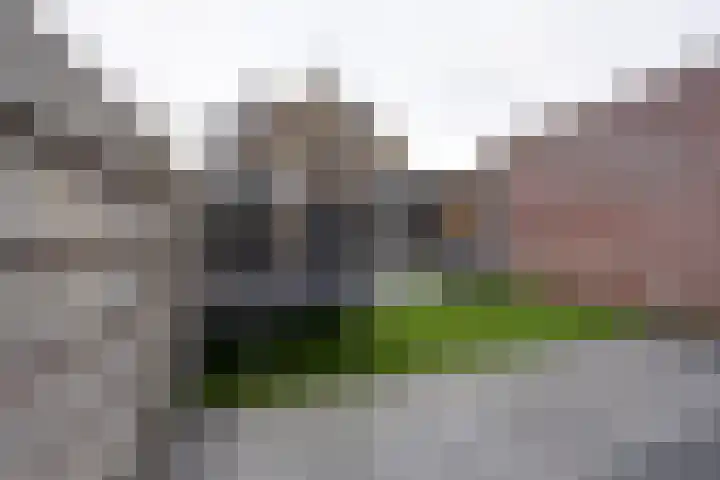 G A Brederodestraat 87 Volendam thumbnail 29