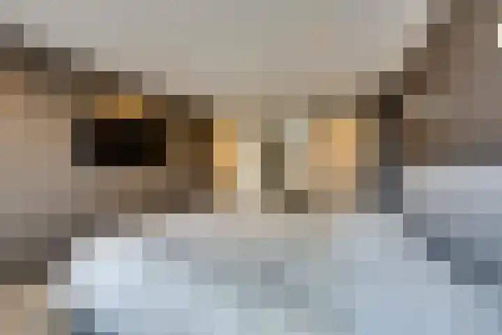 G A Brederodestraat 87 Volendam thumbnail 37