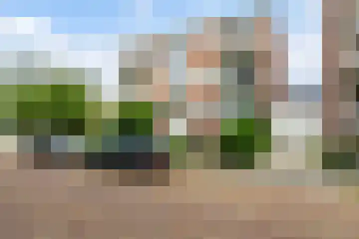G.A. Brederolaan 51 B Maassluis thumbnail 7