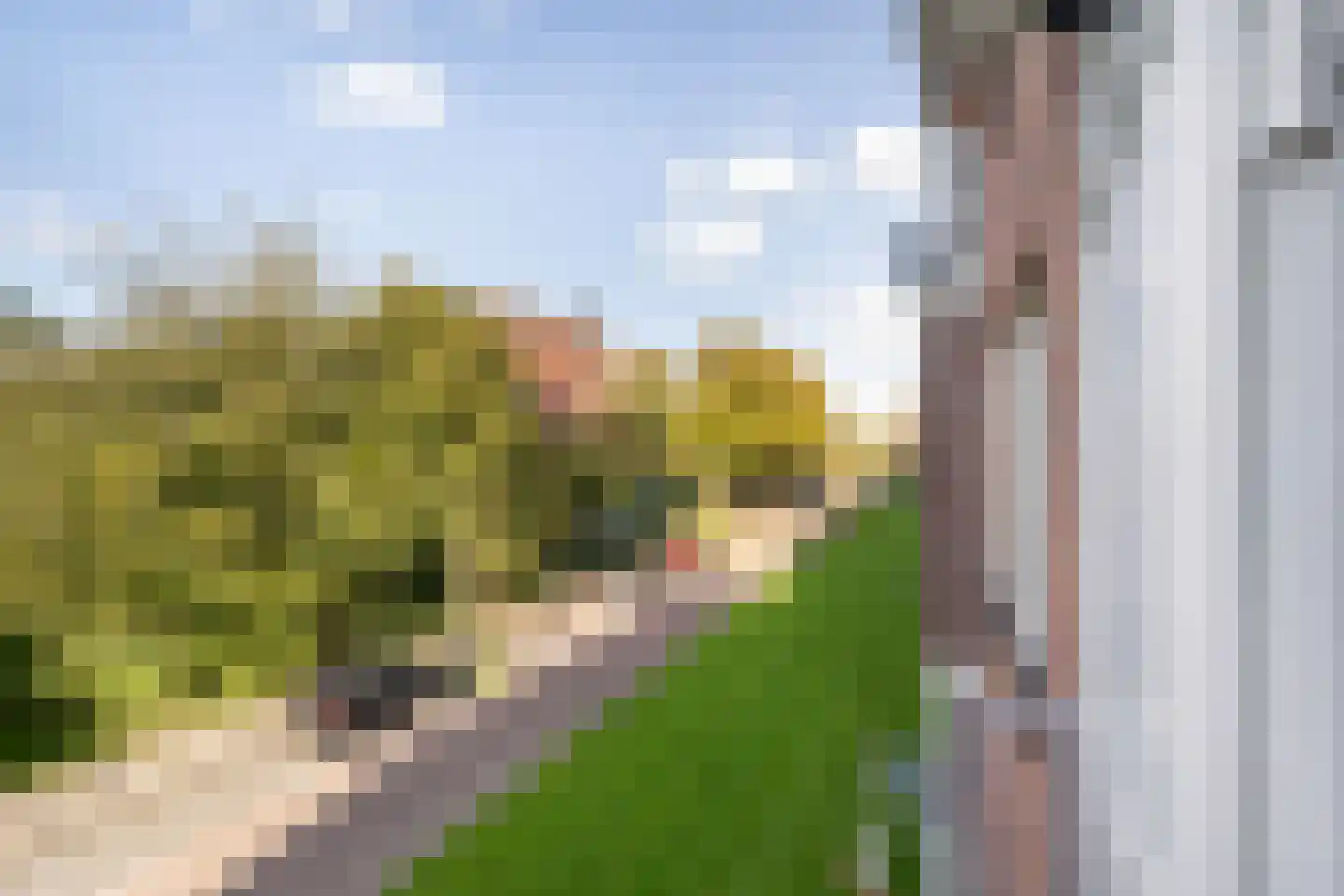 G.A. Brederolaan 57 B Maassluis thumbnail 27