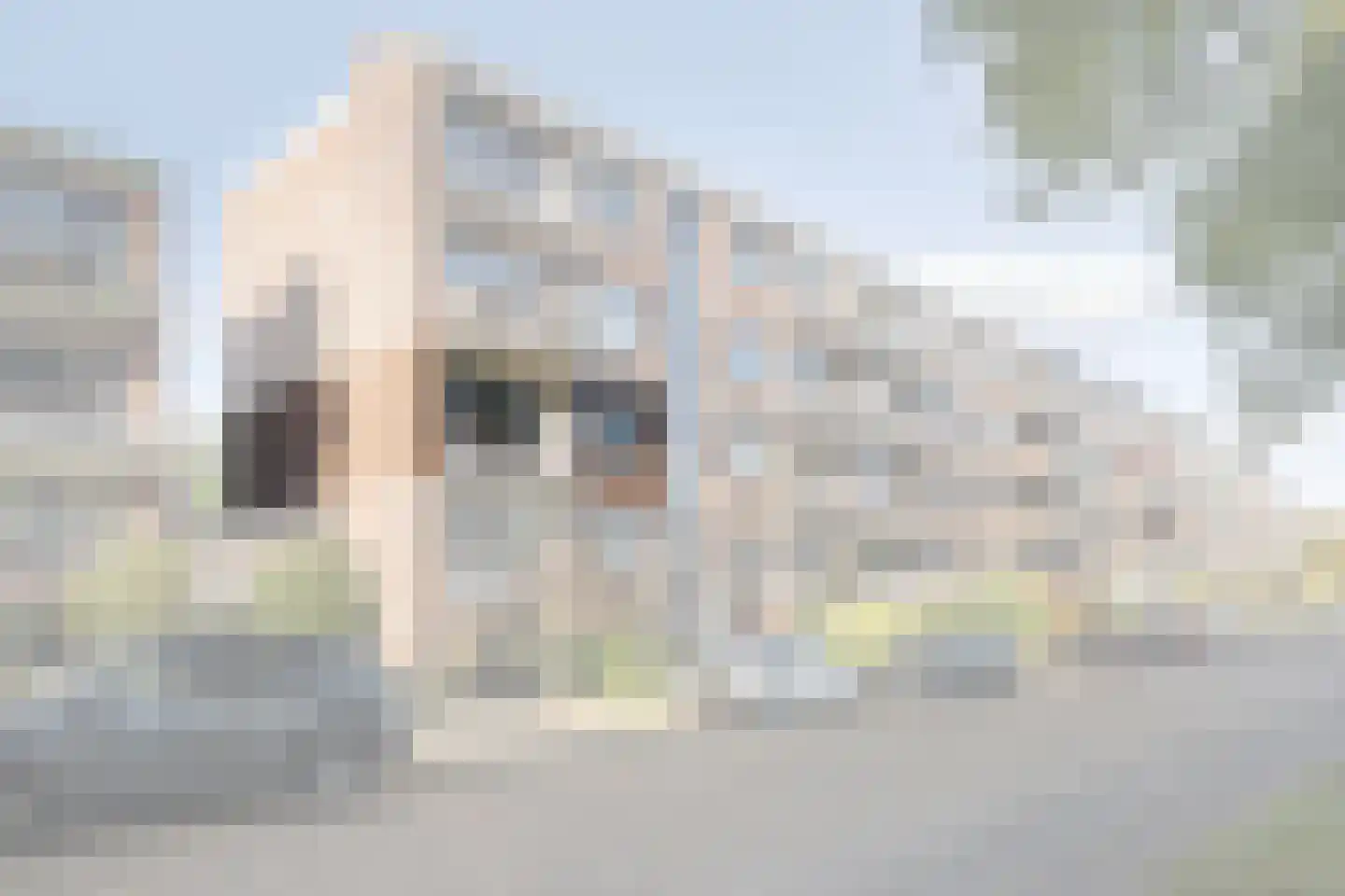 G.A. Brederolaan 57 B Maassluis thumbnail 9