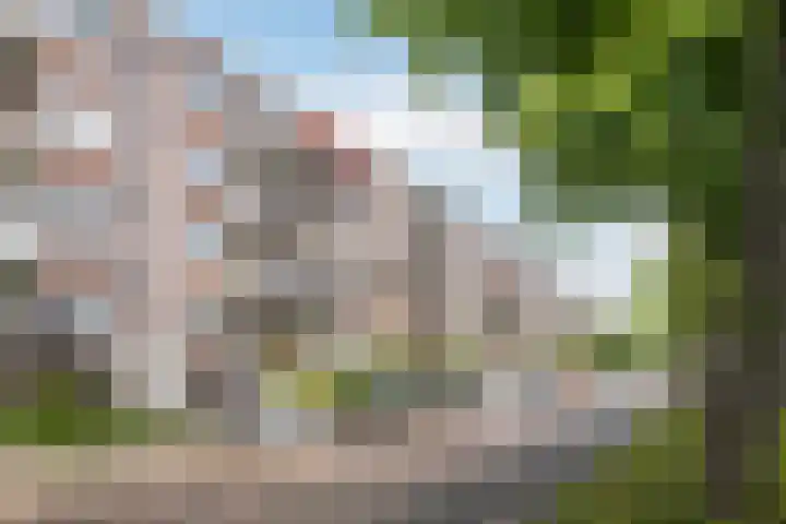 G.A. Brederolaan 61 C Maassluis thumbnail 24