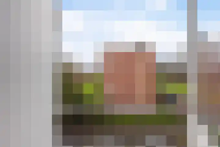 G.A. Brederolaan 63 C Maassluis thumbnail 25