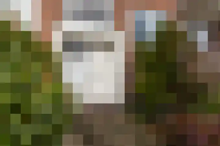 G.A. Brederolaan 63 C Maassluis thumbnail 35