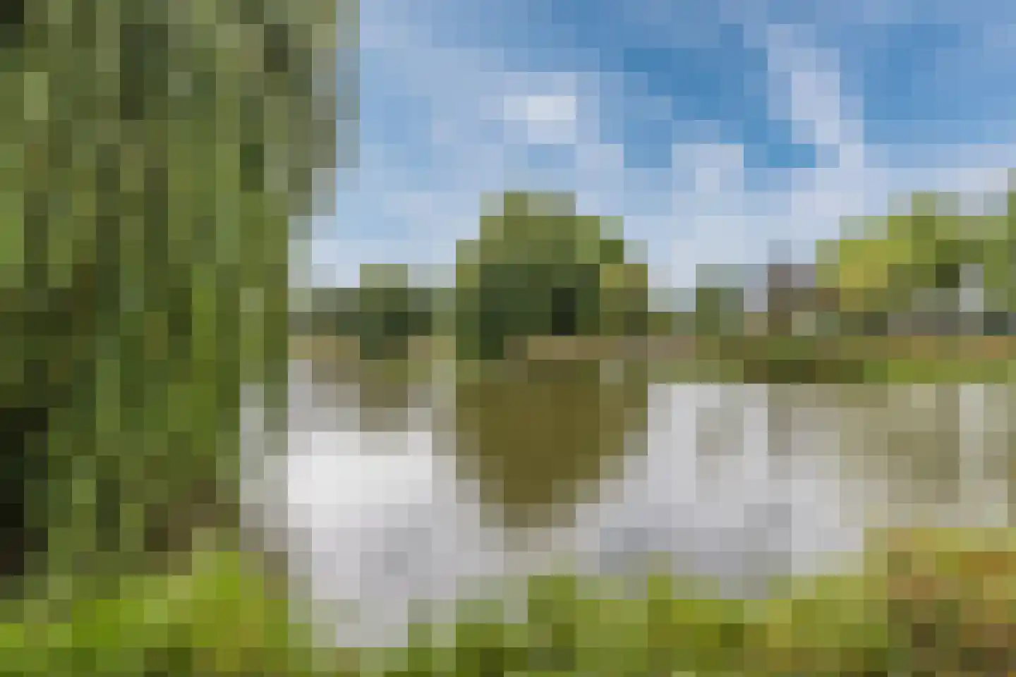 G.A. Brederolaan 81 D Maassluis thumbnail 38