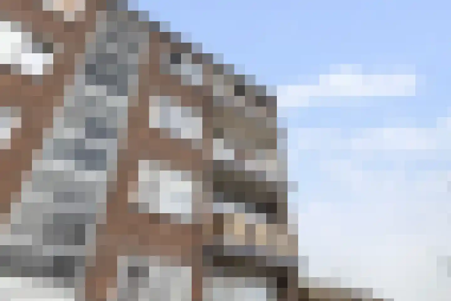 G.A. Brederolaan 91 B Maassluis thumbnail 33