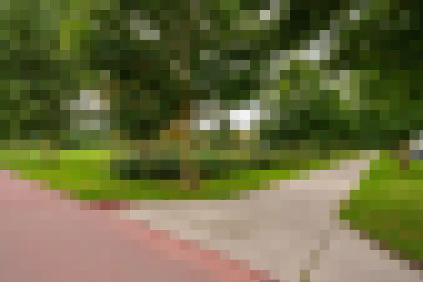 G.A. Overdijkinkstraat 128 Almere thumbnail 36