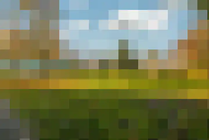 G.A. Overdijkinkstraat 20 Almere thumbnail 36
