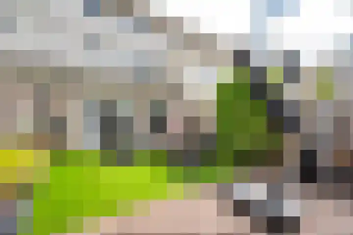 G.A. Overdijkinkstraat 66 Almere thumbnail 13