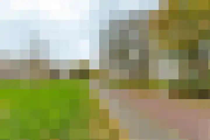 G.A. Overdijkinkstraat 78 Almere thumbnail 36