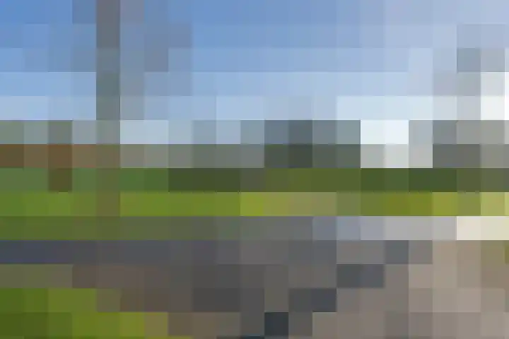 G.A. Overdijkinkstraat 82 Almere thumbnail 30