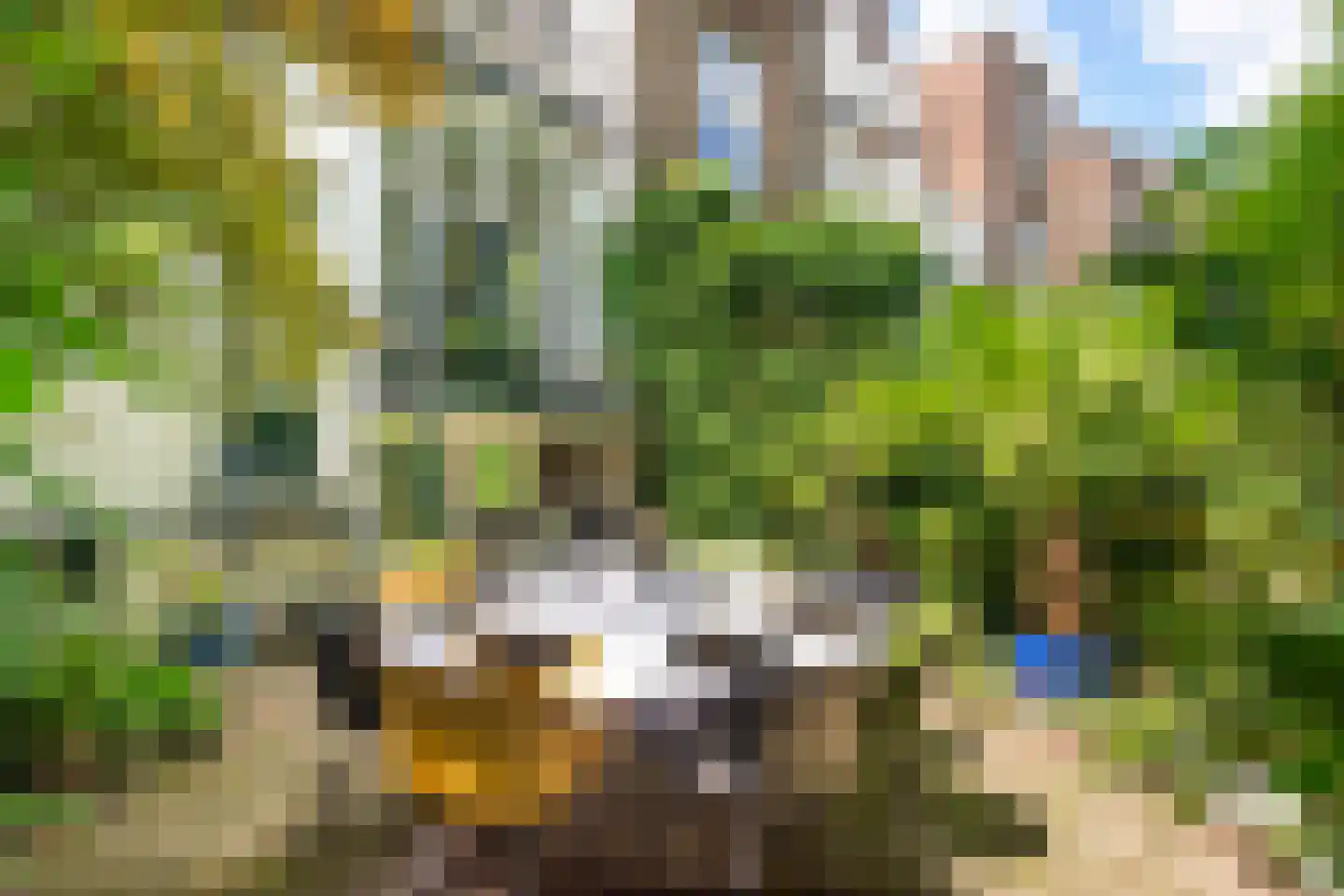 G.A. van Nispenstraat 8 Arnhem thumbnail 53