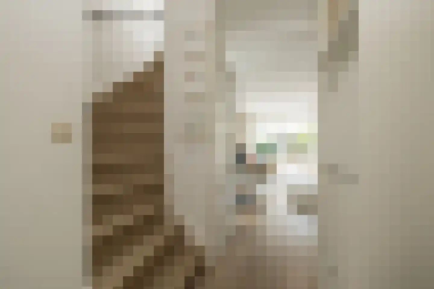 G.B. de Vroomenstraat 20 Sassenheim thumbnail 19