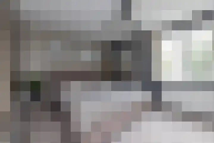 G.B. de Vroomenstraat 52 Sassenheim thumbnail 22