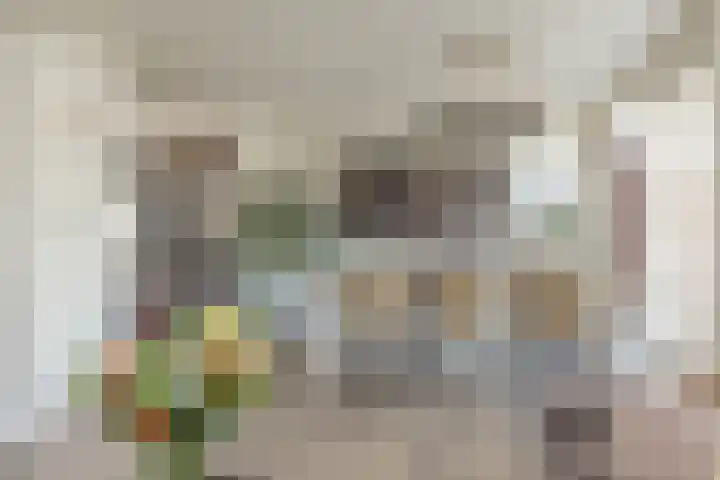 G.B. de Vroomenstraat 52 Sassenheim thumbnail 32