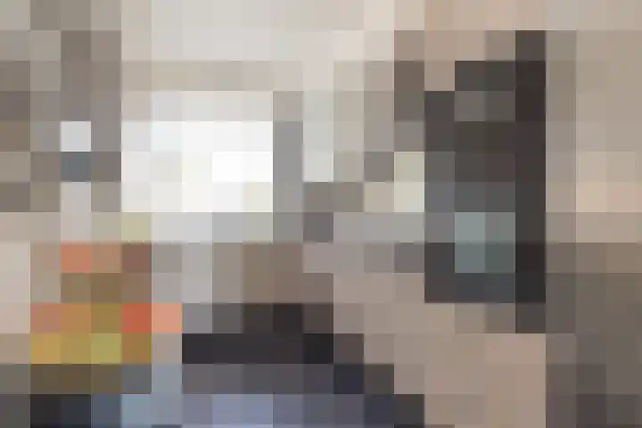 G.B. de Vroomenstraat 52 Sassenheim thumbnail 33
