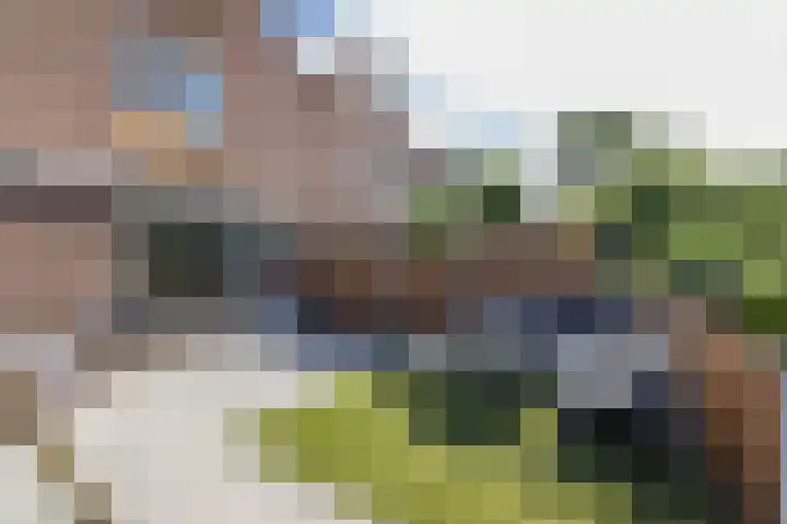 G.B. de Vroomenstraat 52 Sassenheim thumbnail 38
