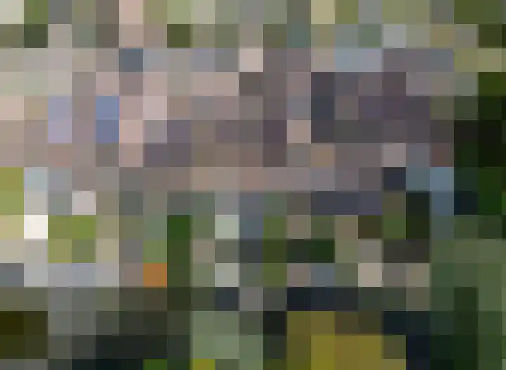G.B. de Vroomenstraat 52 Sassenheim thumbnail 4