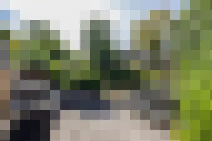 G.B. de Vroomenstraat 52 Sassenheim thumbnail 40