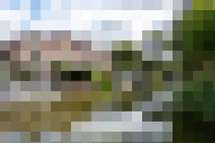 G.B. de Vroomenstraat 52 Sassenheim thumbnail 63