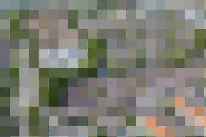 G.B. de Vroomenstraat 52 Sassenheim thumbnail 71