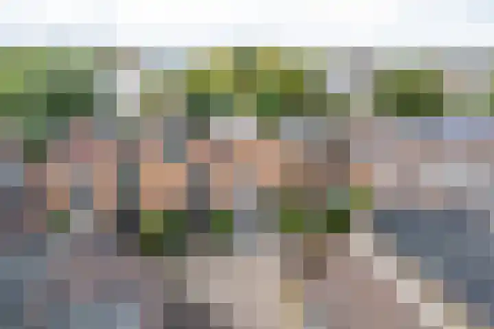 G.B. de Vroomenstraat 52 Sassenheim thumbnail 73