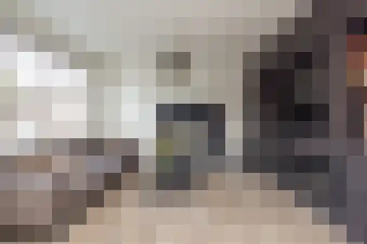 G.B. de Vroomenstraat 52 Sassenheim thumbnail 9