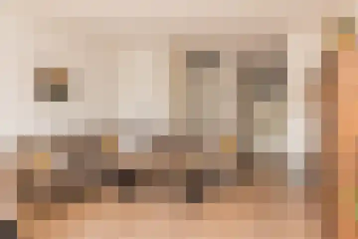 G.B. de Vroomenstraat 6 Sassenheim thumbnail 10