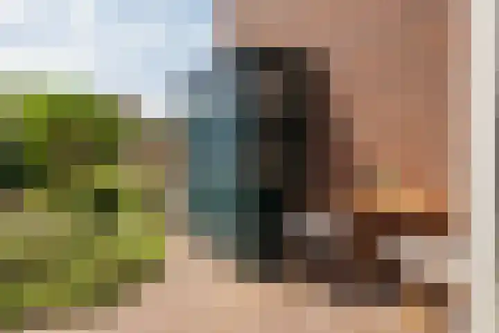 G.B. de Vroomenstraat 6 Sassenheim thumbnail 21