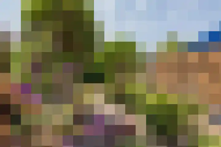 G.B. de Vroomenstraat 6 Sassenheim thumbnail 22