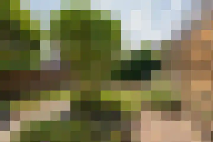 G.B. de Vroomenstraat 6 Sassenheim thumbnail 23