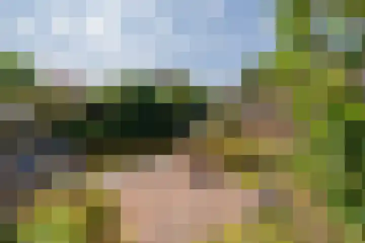 G.B. de Vroomenstraat 6 Sassenheim thumbnail 26