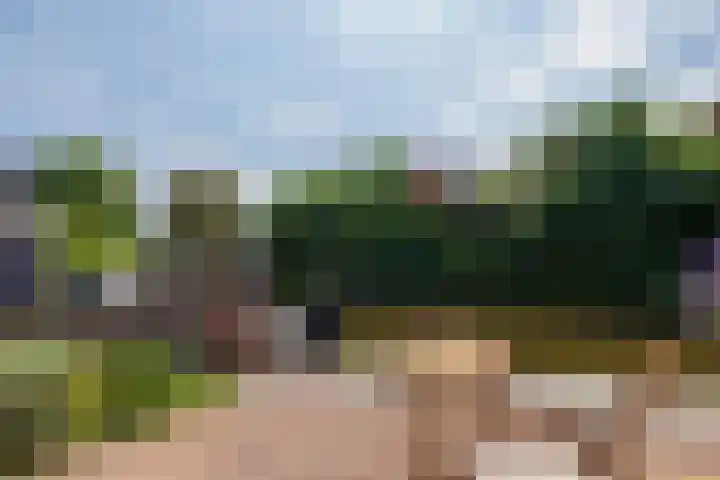 G.B. de Vroomenstraat 6 Sassenheim thumbnail 28