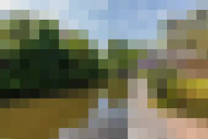 G.B. de Vroomenstraat 6 Sassenheim thumbnail 31