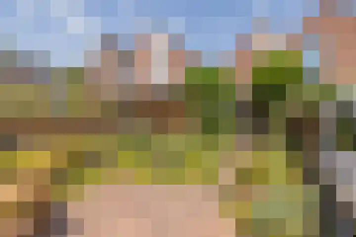 G.B. de Vroomenstraat 6 Sassenheim thumbnail 32