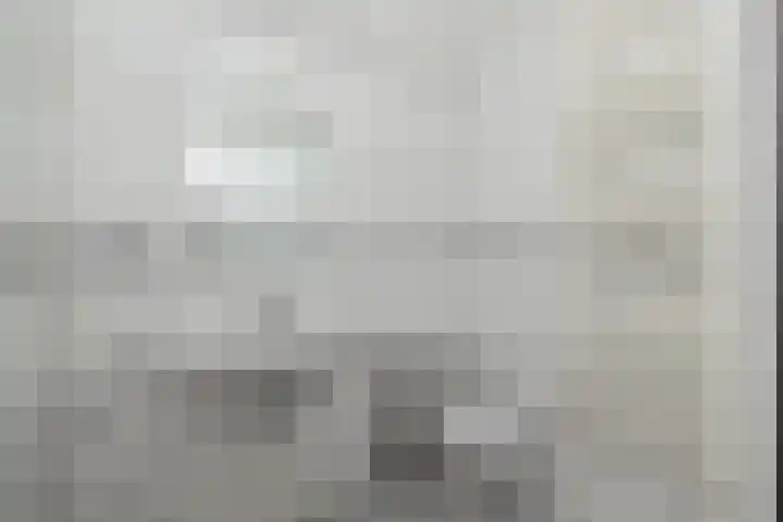 G.B. de Vroomenstraat 6 Sassenheim thumbnail 38